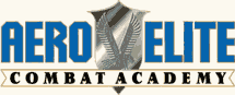 Aero Elite: Combat Academy 