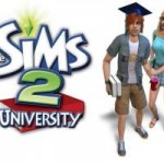 The Sims 2: Vida de Universitário – Tradução